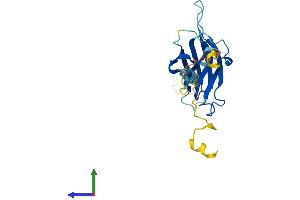 AlphaFold protein structure predicition of Human Recombinant NICN1 Protein, UniprotID Q9BSH3