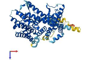 AlphaFold protein structure predicition of Human Recombinant PORCN Protein, UniprotID Q9H237