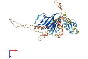 AlphaFold protein structure predicition of Human Recombinant RNF39 Protein, UniprotID Q9H2S5
