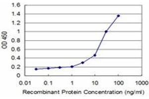 Detection limit for recombinant GST tagged HD is approximately 0. (Huntingtin anticorps  (AA 81-190))