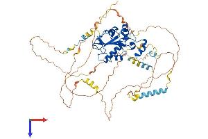 AlphaFold protein structure predicition of Human Recombinant CDC25B Protein, UniprotID P30305