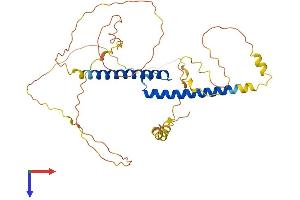 AlphaFold protein structure predicition of Human Recombinant BHLHE22 Protein, UniprotID Q8NFJ8