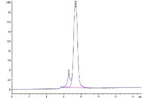 The purity of Human Transferrin R is greater than 90 % as determined by SEC-HPLC.