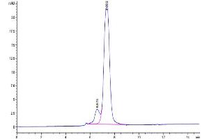 The purity of Human Transferrin R is greater than 90 % as determined by SEC-HPLC. (Transferrin Receptor Protein (AA 89-760) (Fc Tag))