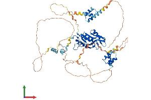 AlphaFold protein structure predicition of Human Recombinant ZC3H12A Protein, UniprotID Q5D1E8