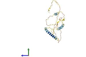 AlphaFold protein structure predicition of Human Recombinant BNIP3 Protein, UniprotID Q12983