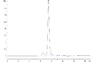 The purity of Human HGF R is greater than 95 % as determined by SEC-HPLC.