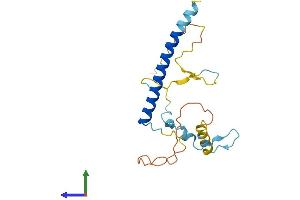AlphaFold protein structure predicition of Mouse Recombinant Mbd3l1 Protein, UniprotID Q9D9H3