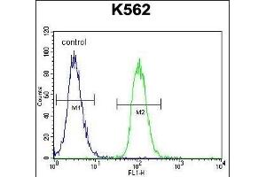 MITF Antibody (N-term) (ABIN655506 and ABIN2845022) flow cytometric analysis of K562 cells (right histogram) compared to a negative control cell (left histogram). (MITF anticorps  (N-Term))