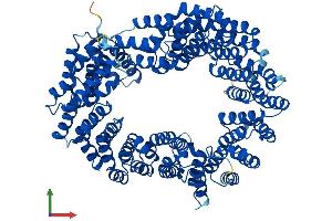 AlphaFold protein structure predicition of Mouse Recombinant Tnpo3 Protein, UniprotID Q6P2B1