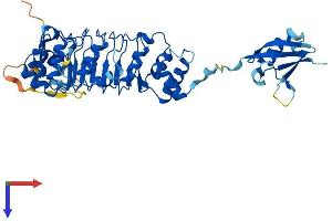 AlphaFold protein structure predicition of Human Recombinant TBCEL Protein, UniprotID Q5QJ74