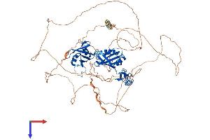 AlphaFold protein structure predicition of Human Recombinant CPEB4 Protein, UniprotID Q17RY0