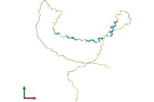 AlphaFold protein structure predicition of Mouse Recombinant Dbndd1 Protein, UniprotID Q9CZ00