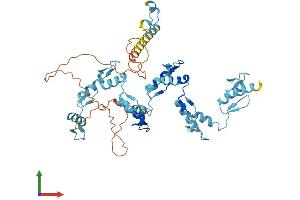AlphaFold protein structure predicition of Human Recombinant ZNF563 Protein, UniprotID Q8TA94