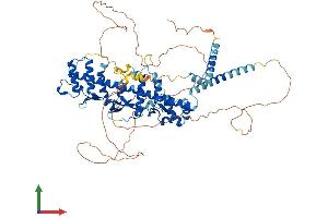 AlphaFold protein structure predicition of Human Recombinant GGNBP2 Protein, UniprotID Q9H3C7
