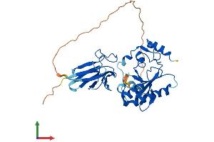AlphaFold protein structure predicition of Mouse Recombinant Aptx Protein, UniprotID Q7TQC5