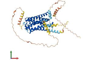 AlphaFold protein structure predicition of Human Recombinant CNR1 Protein, UniprotID P21554