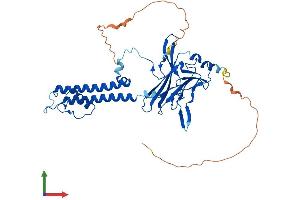 AlphaFold protein structure predicition of Human Recombinant KCNJ5 Protein, UniprotID P48544