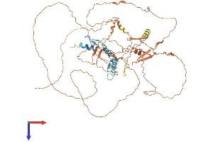 AlphaFold protein structure predicition of Mouse Recombinant Sp2 Protein, UniprotID Q9D2H6