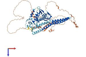AlphaFold protein structure predicition of Human Recombinant SNX18 Protein, UniprotID Q96RF0