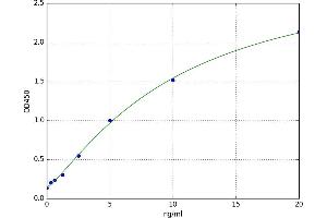 Prostaglandin E Synthase (PTGES) ELISA Kit