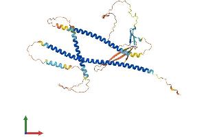 AlphaFold protein structure predicition of Mouse Recombinant Cby2 Protein, UniprotID Q32MG2