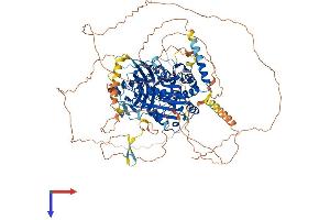 AlphaFold protein structure predicition of Mouse Recombinant Agbl3 Protein, UniprotID Q8CDP0