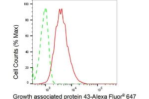 Flow cytometric analysis of Growth associated protein 43 expression in HAP-1 cells using Growth associated protein 43 antibody (ABIN7798804), 1:2,000). (Recombinant GAP43 anticorps)