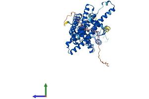 AlphaFold protein structure predicition of Mouse Recombinant Arih2 Protein, UniprotID Q9Z1K6
