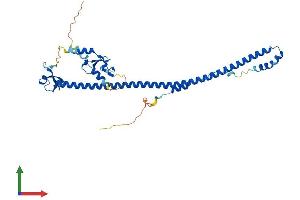 AlphaFold protein structure predicition of Human Recombinant TRIM54 Protein, UniprotID Q9BYV2