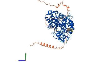 AlphaFold protein structure predicition of Mouse Recombinant Cdkal1 Protein, UniprotID Q91WE6