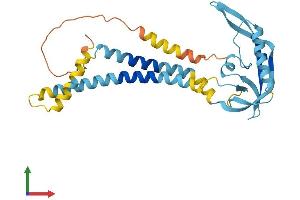 AlphaFold protein structure predicition of Human Recombinant KCNMB3 Protein, UniprotID Q9NPA1