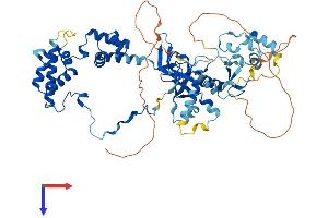 AlphaFold protein structure predicition of Mouse Recombinant Mta3 Protein, UniprotID Q924K8