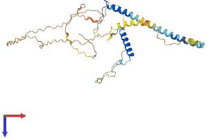 AlphaFold protein structure predicition of Mouse Recombinant Rsrc1 Protein, UniprotID Q9DBU6