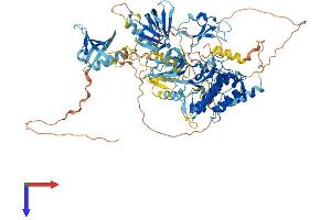 AlphaFold protein structure predicition of Human Recombinant PRKD2 Protein, UniprotID Q9BZL6
