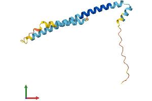AlphaFold protein structure predicition of Human Recombinant TSC22D3 Protein, UniprotID Q99576