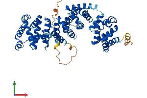 AlphaFold protein structure predicition of Human Recombinant ATP6V1H Protein, UniprotID Q9UI12