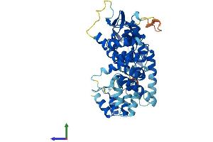 AlphaFold protein structure predicition of Human Recombinant ABTB1 Protein, UniprotID Q969K4
