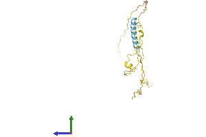 AlphaFold protein structure predicition of Mouse Recombinant Tceal5 Protein, UniprotID Q8CCT4