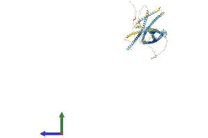 AlphaFold protein structure predicition of Mouse Recombinant Rnf40 Protein, UniprotID Q3U319