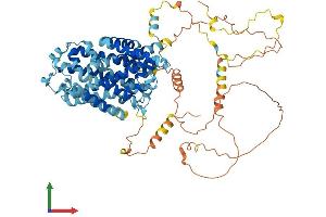 AlphaFold protein structure predicition of Mouse Recombinant Slc12a8 Protein, UniprotID Q8VI23