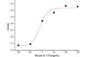 ELISA image for Interleukin 17A (IL17A) (Active) protein (His tag) (ABIN7320557)