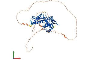 AlphaFold protein structure predicition of Human Recombinant MAGEA11 Protein, UniprotID P43364
