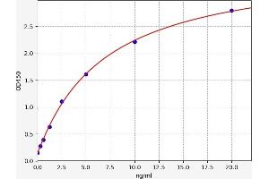 Typical standard curve (PHF1 Kit ELISA)