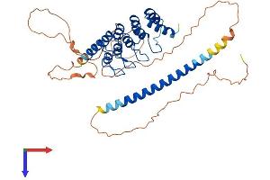 AlphaFold protein structure predicition of Mouse Recombinant Gabpb2 Protein, UniprotID P81069