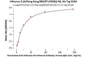 Immobilized Influenza A [A/Hong Kong/483/97 (H5N1)] HA, His Tag (ABIN2870842,ABIN2870843) at 2 μg/mL (100 μL/well) can bind Aenza HA MAb CM2S3 with a linear range of 0.