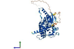 AlphaFold protein structure predicition of Mouse Recombinant Fut11 Protein, UniprotID Q8BHC9