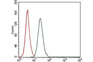 Flow cytometric analysis of HeLa cells using FOS mouse mAb (green) and negative control (red). (c-FOS anticorps)