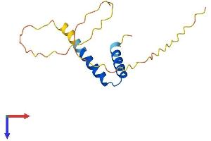 AlphaFold protein structure predicition of Human Recombinant TXLNGY Protein, UniprotID Q9BZA5