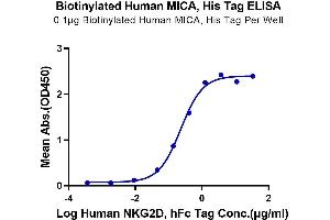 Immobilized Biotinylated Human MICA at 1 μg/mL (100 μL/Well) on the plate.